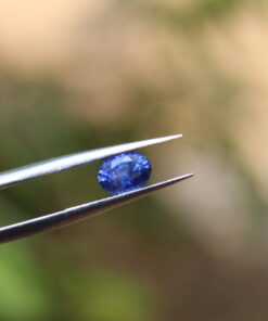 CEYLON SAPPHIRE COMPANY