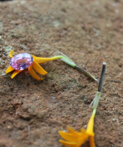 CEYLON SAPPHIRE COMPANY