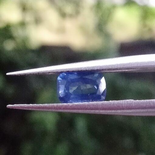 ceylon sapphire company